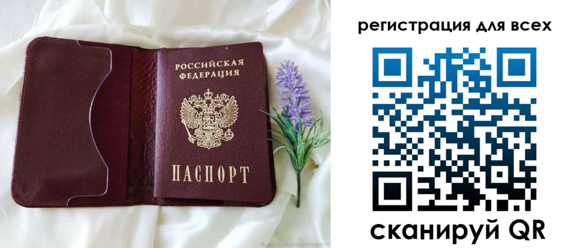 прописка 2025 в Могочи